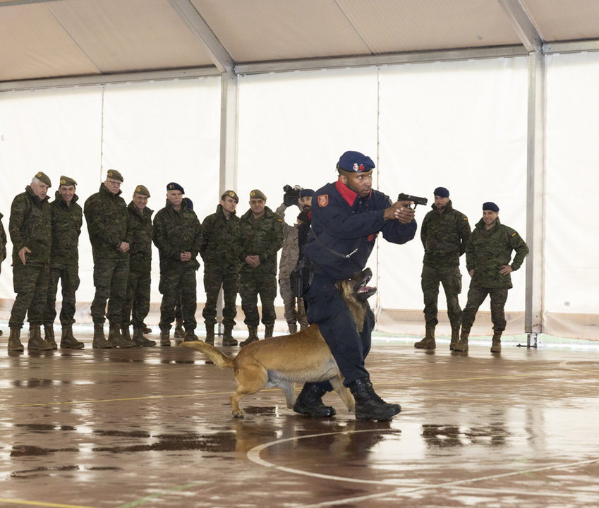 Exhibición de instrucción táctico-policial y guías de perros
