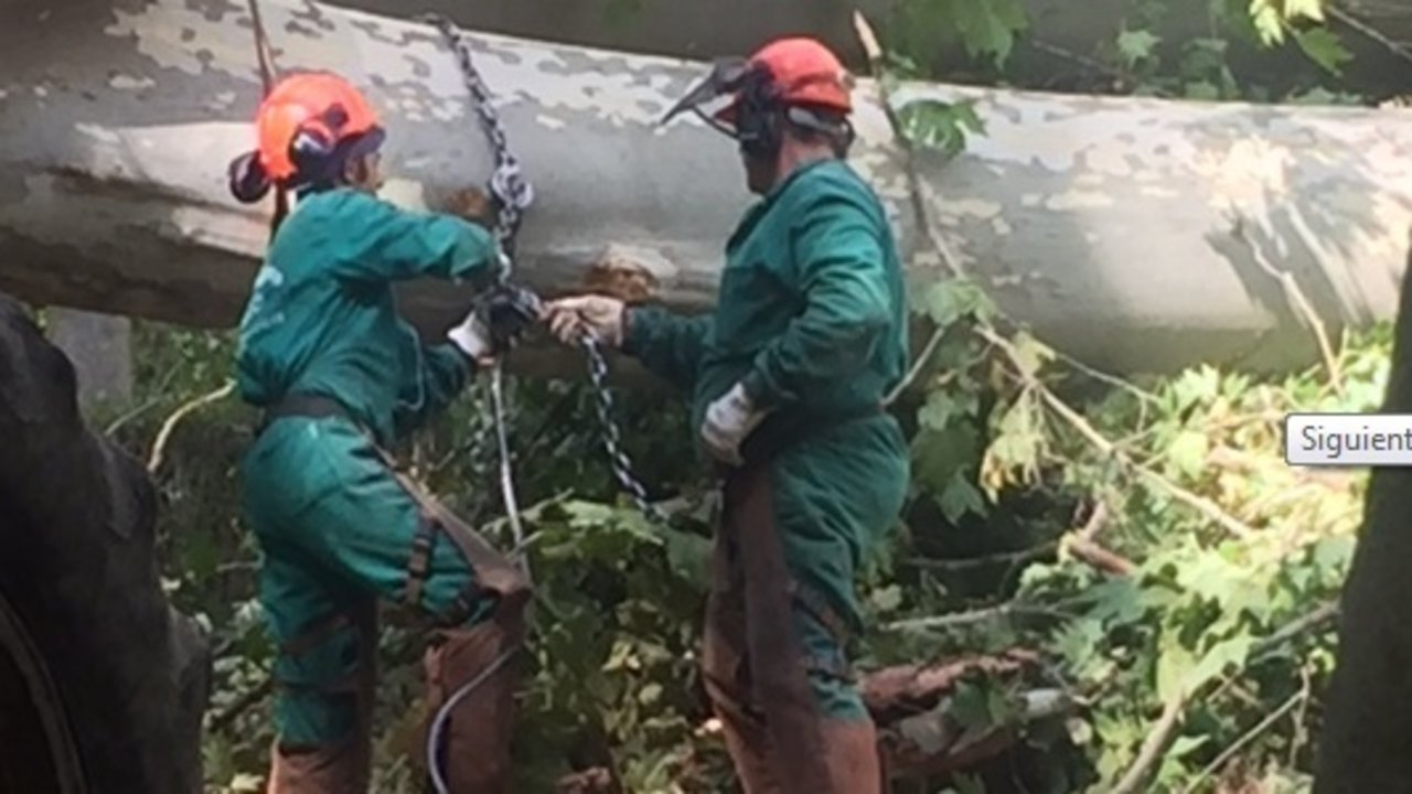 Dos empleados reparando los daños producidos por el temporal. 