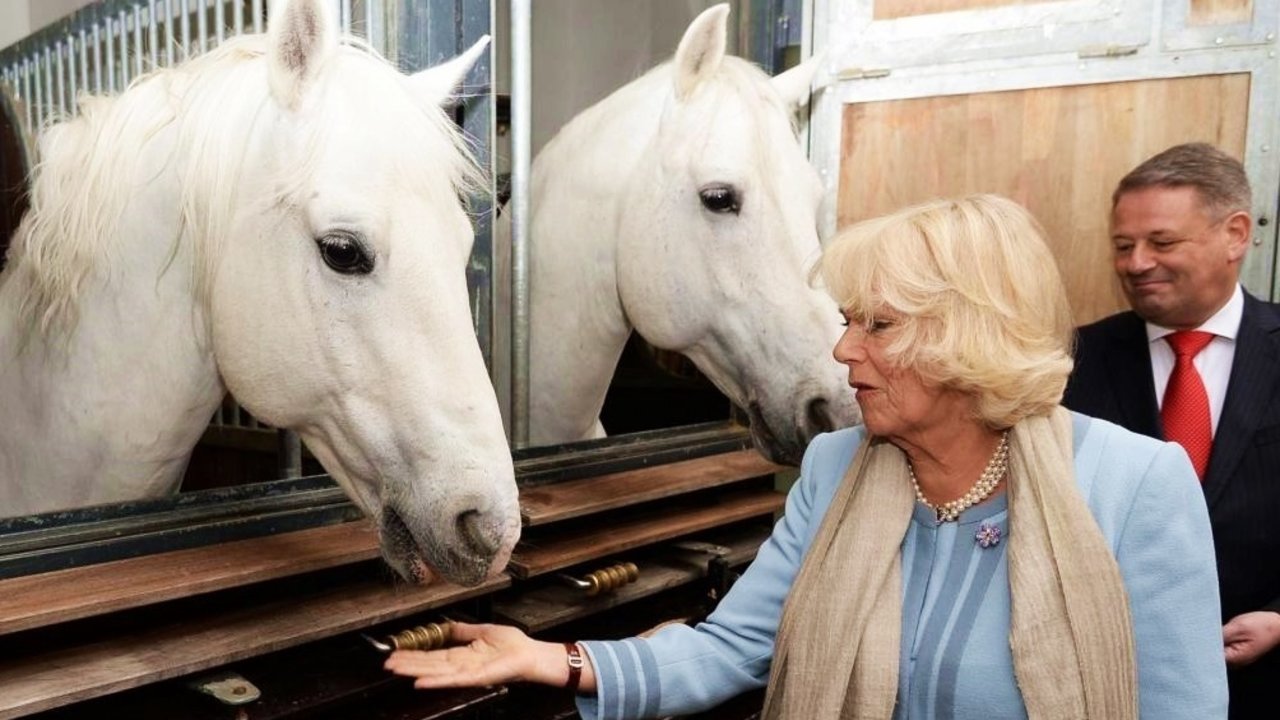 La duquesa Camila en la Escuela Española de Equitación de Viena.
