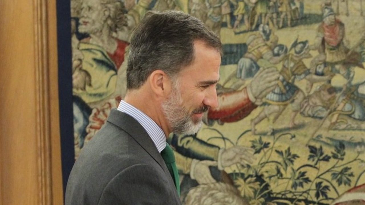Felipe VI, en una audiencia en el Palacio de la Zarzuela.